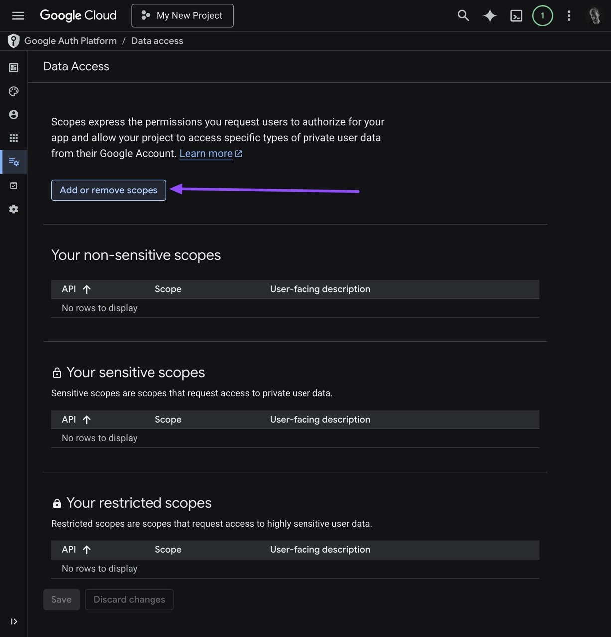 Google Add or Remove Scopes