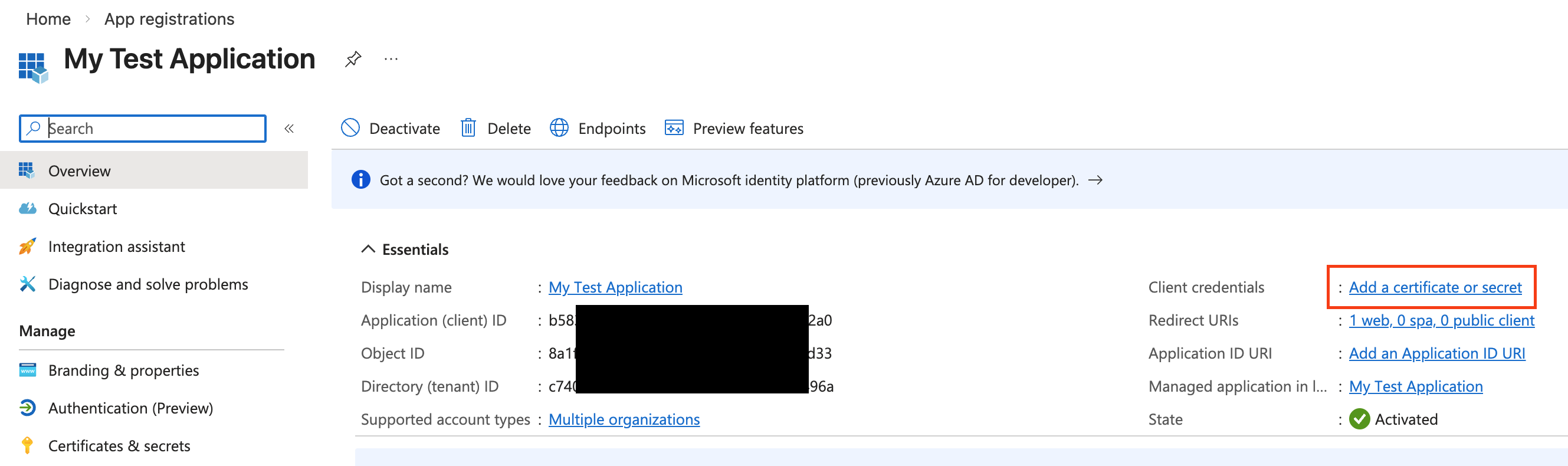 Microsoft App Registration Details Screen
